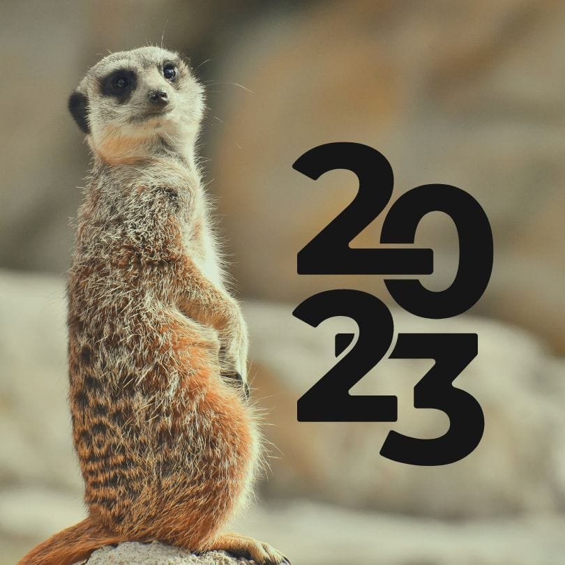 The Astrology of 2023